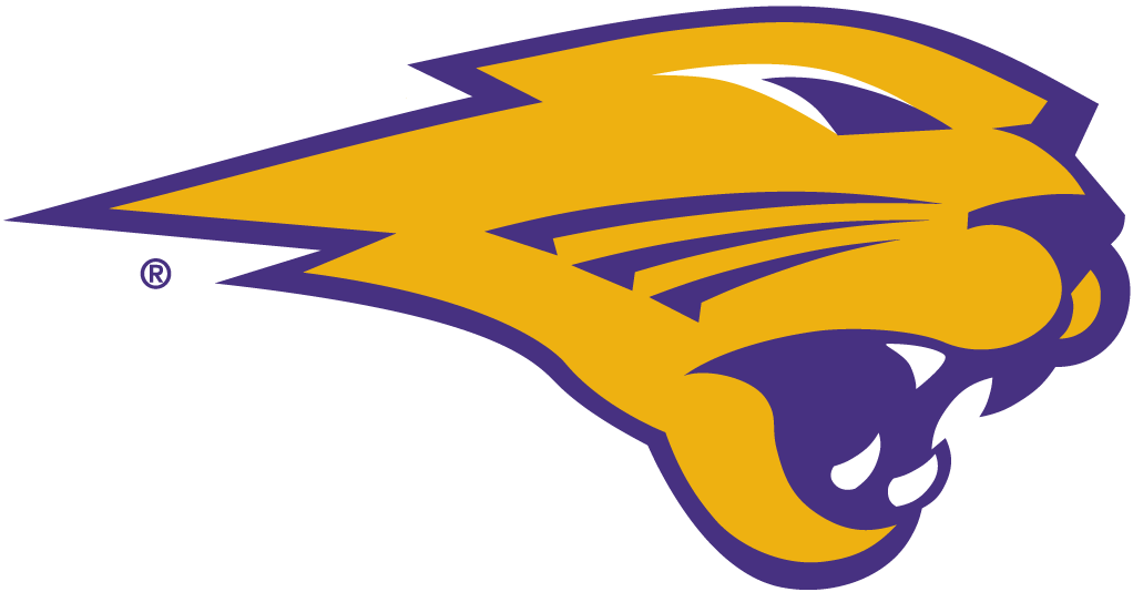 Northern Iowa Panthers 2002-Pres Partial Logo DIY iron on transfer (heat transfer)